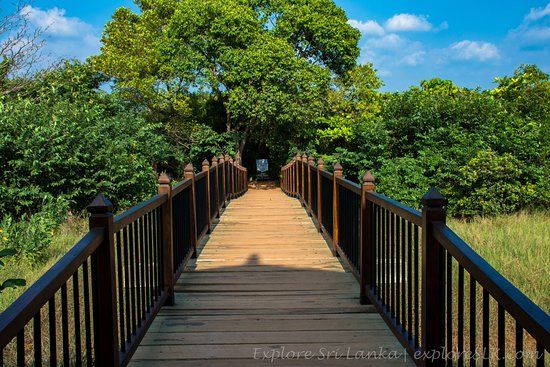 Beddegana Wetland Park